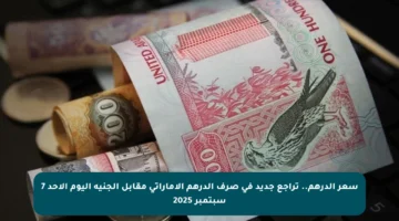 سعر الدرهم.. تراجع جديد في صرف الدرهم الإماراتي مقابل الجنيه اليوم الأحد 7 سبتمبر 2025